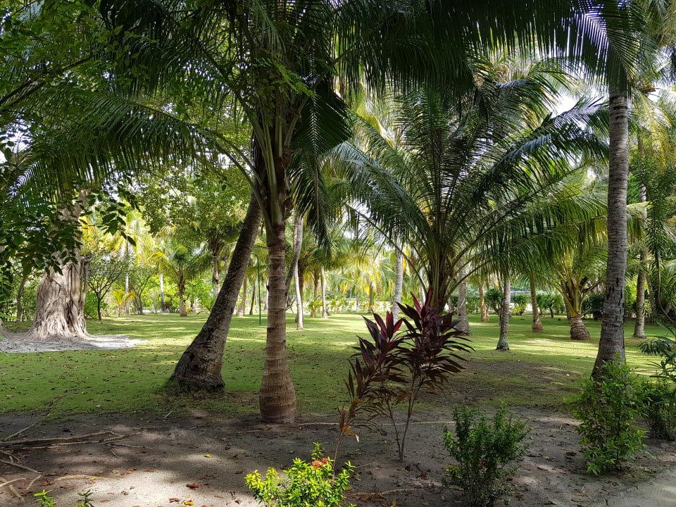 Gartenanlage Adaaran Select Hudhuran Fushi - Premium All Inclusive