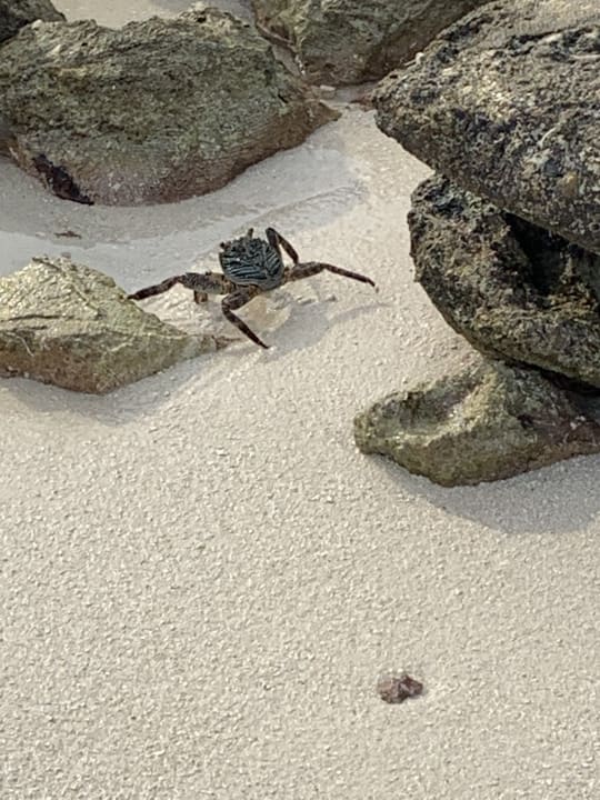 Strand Adaaran Select Meedhupparu Island Resort - Premium All Inclusive