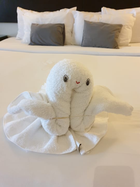 Zimmer Akumal Bay Beach & Wellness Resort