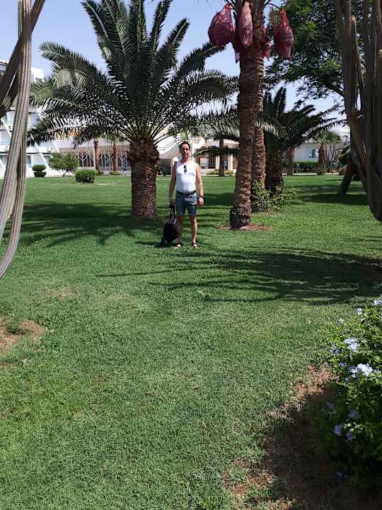 Gartenanlage Shams Safaga Resort