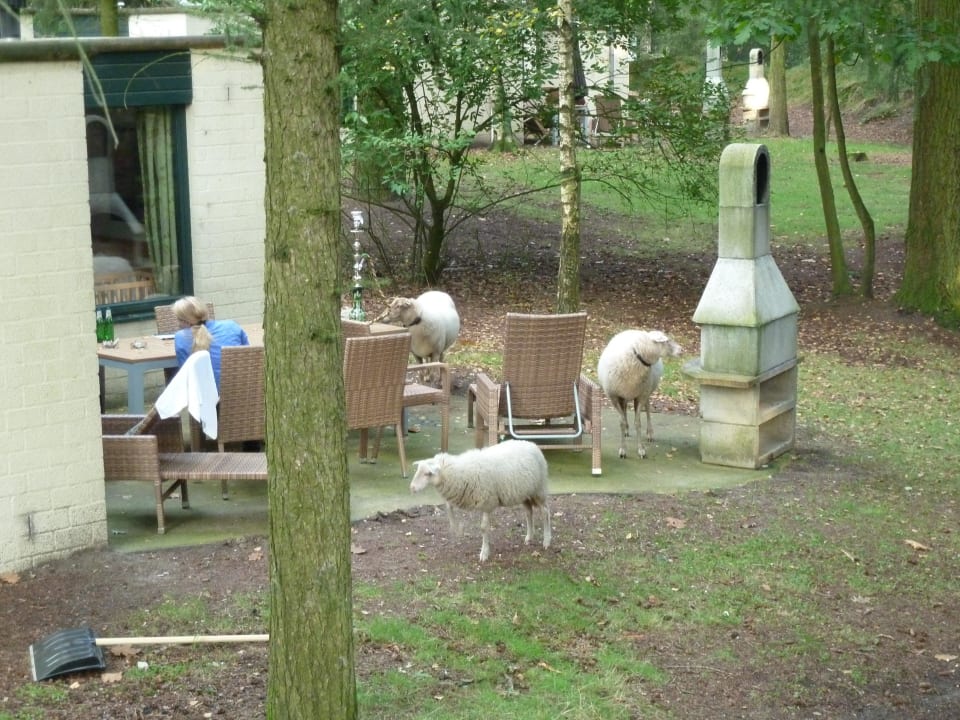 Besuch Center Parcs De Kempervennen