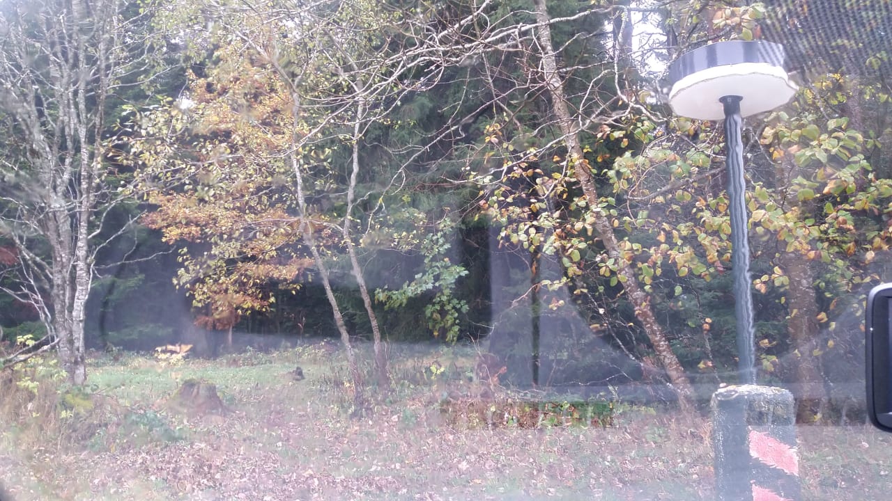 Ausblick DORMERO Hotel Freudenstadt