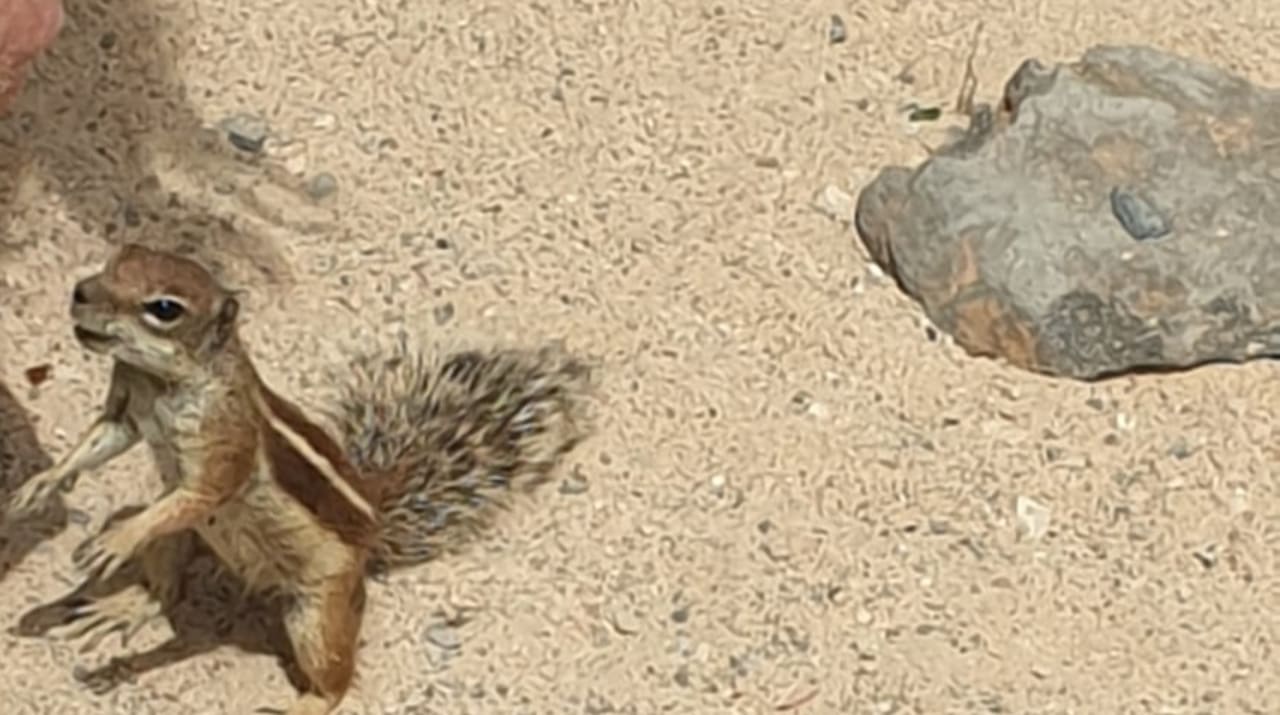 Strand Bakour Fuerteventura La Pared
