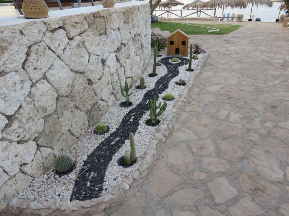 Gartenanlage Sharm Club Beach Resort