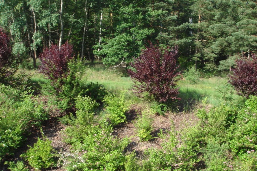 Zur Waldseite hin Jagdhof Klein-Heilig-Kreuz