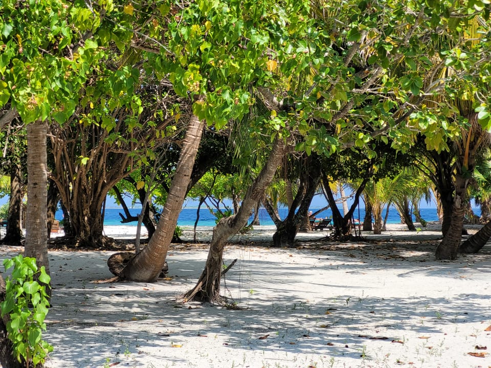 Ausblick Adaaran Select Meedhupparu Island Resort - Premium All Inclusive