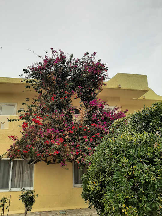 Gartenanlage Euro Village Achilleas Hotel