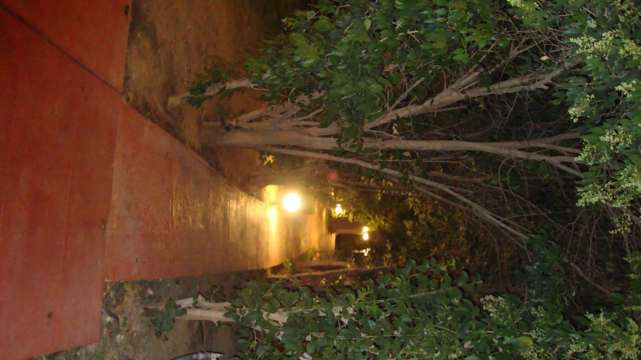 Ogród nocą Hotel Golden Odyssey