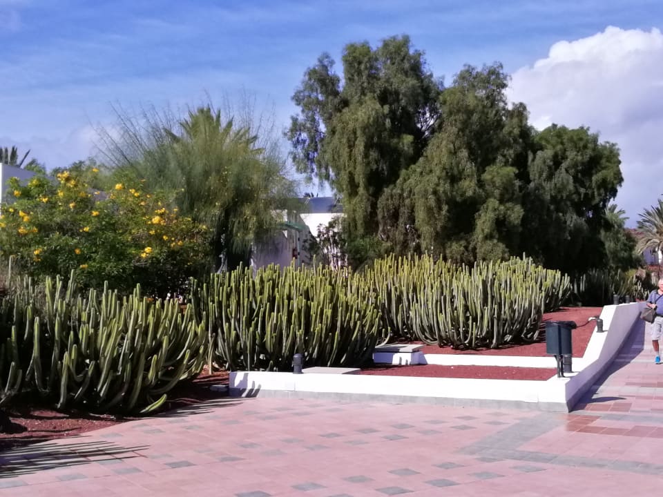 Gartenanlage Hotel HL Club Playa Blanca