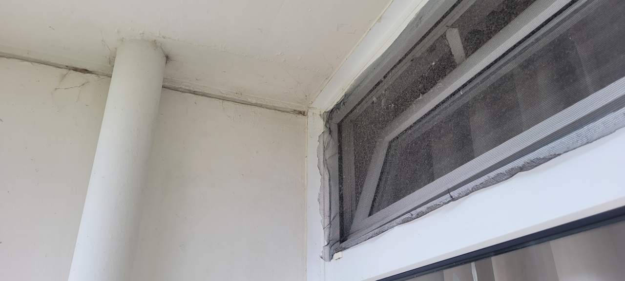 Ausblick Lord Nelson 204