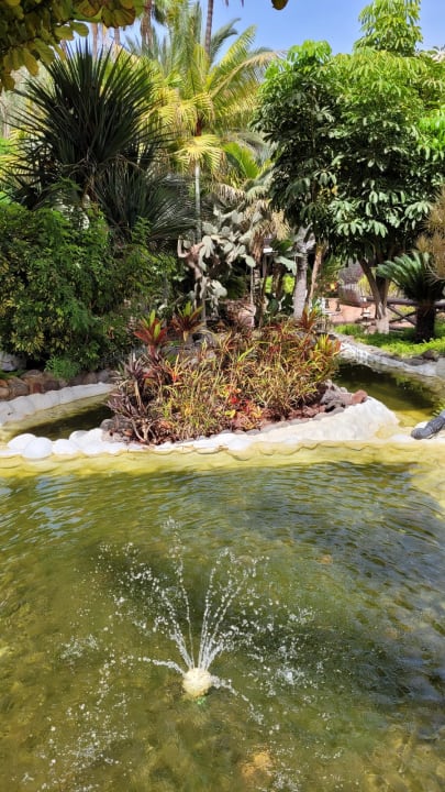 Gartenanlage Hotel Parque Tropical