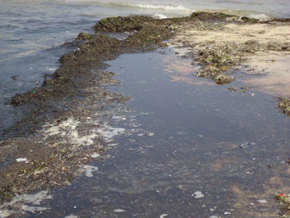 Ekelhaft Marhaba Royal Salem