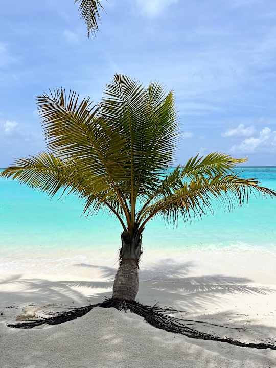 Sonstiges Meeru Maldives Resort Island