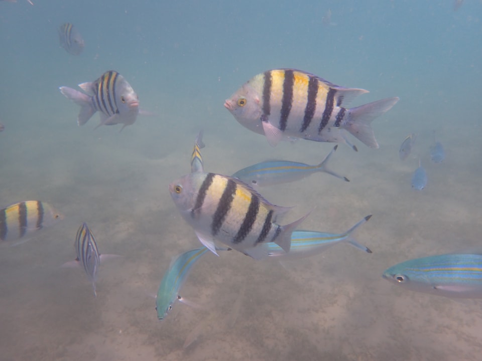 Sport & Freizeit Ali Baba Palace Resort