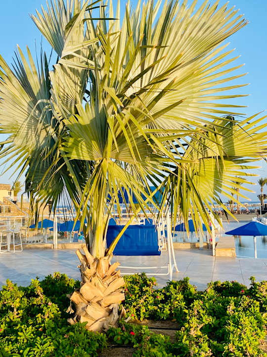 Außenansicht Pickalbatros Villaggio Resort - Portofino