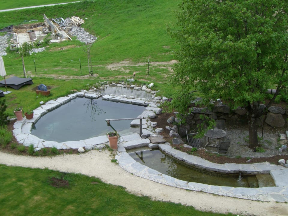 Badeteich Holzhotel Forsthofalm