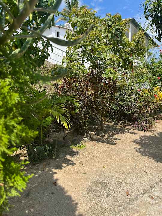 Gartenanlage Hostal Recuerdos del Tayrona