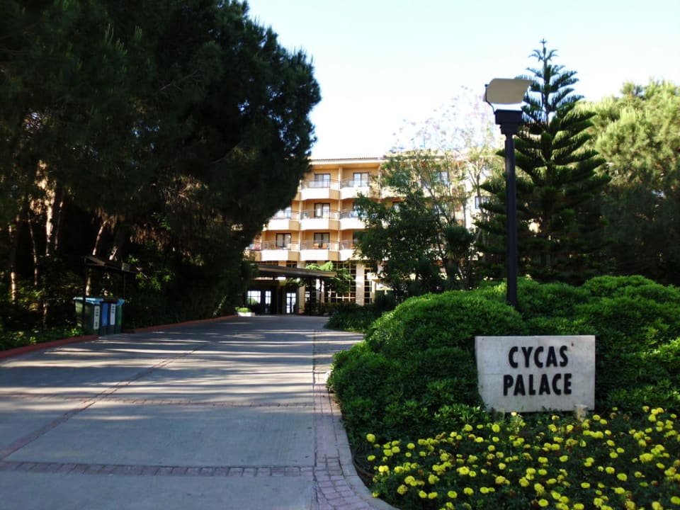 Cycas Palace Asteria Family Belek