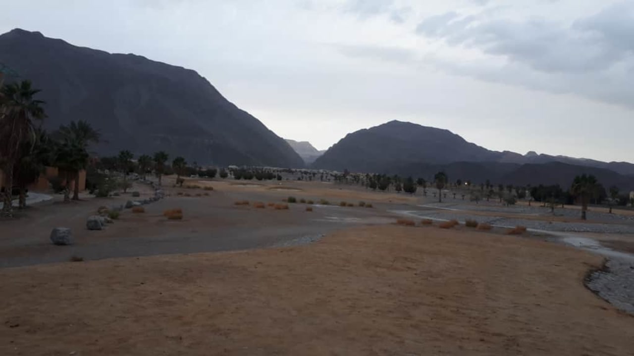 Zaniedbane pole golfowe Strand Beach Resort Taba Heights