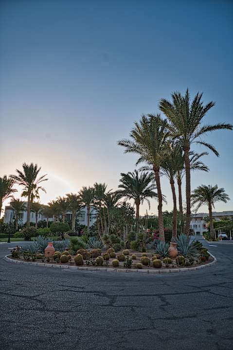 Außenansicht Steigenberger Coraya Beach - Adults only