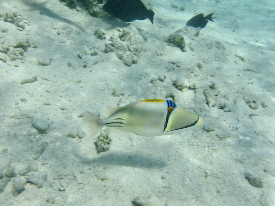 Sport & Freizeit Hotel Kempinski Soma Bay