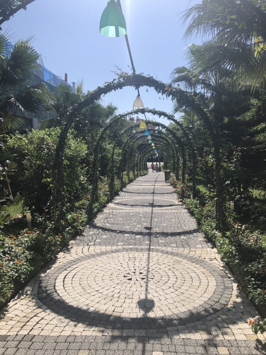Gartenanlage Dream World Hill Hotel