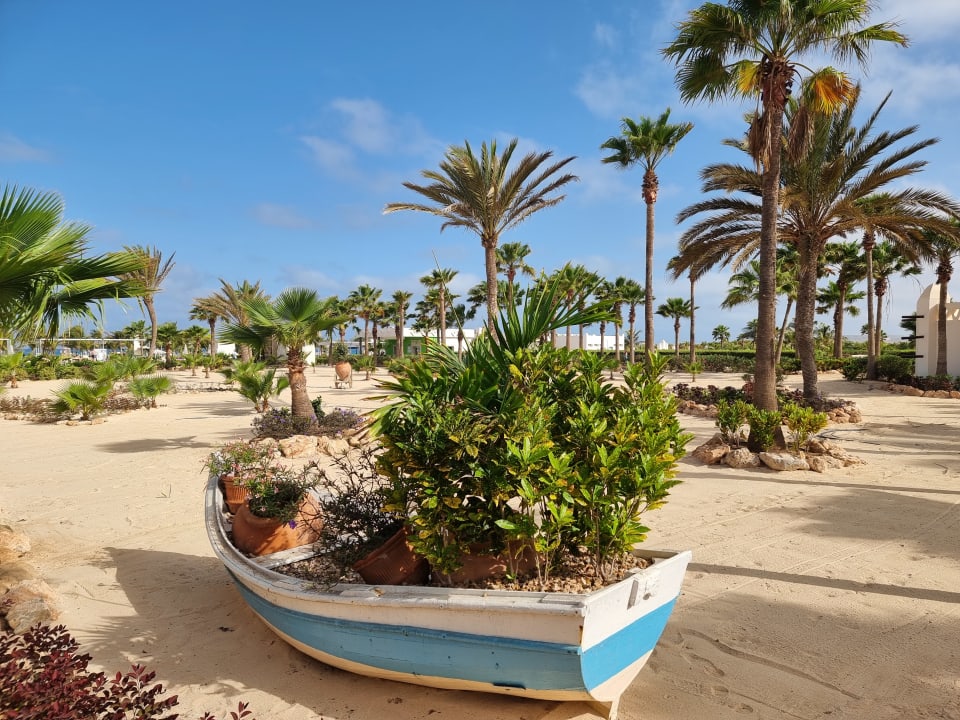 Gartenanlage Hotel Riu Karamboa