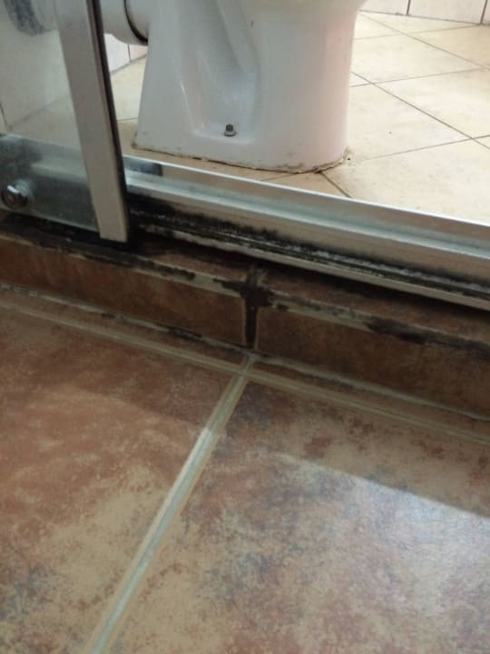 Schimmlig und Dreckig im Bad Sun Palace