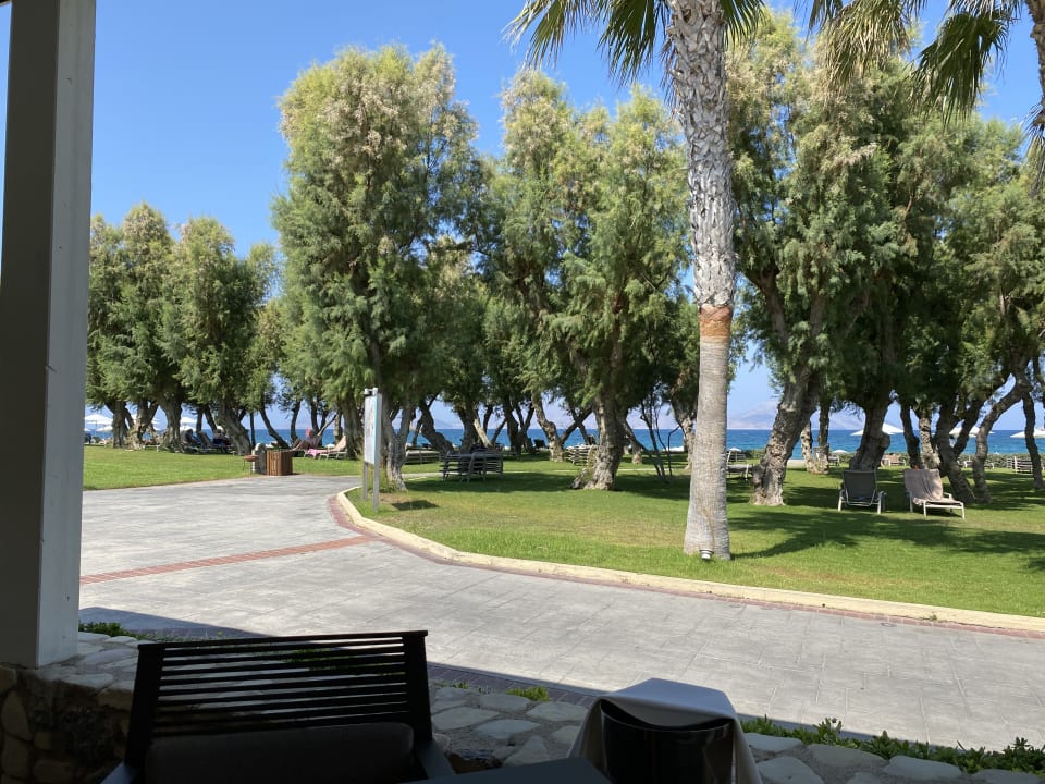 Gartenanlage Neptune Luxury Resort