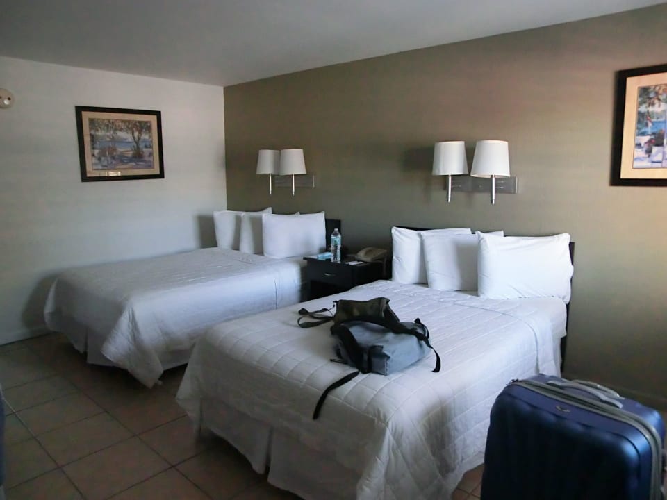 Zimmer 103 Motel Blue Marlin