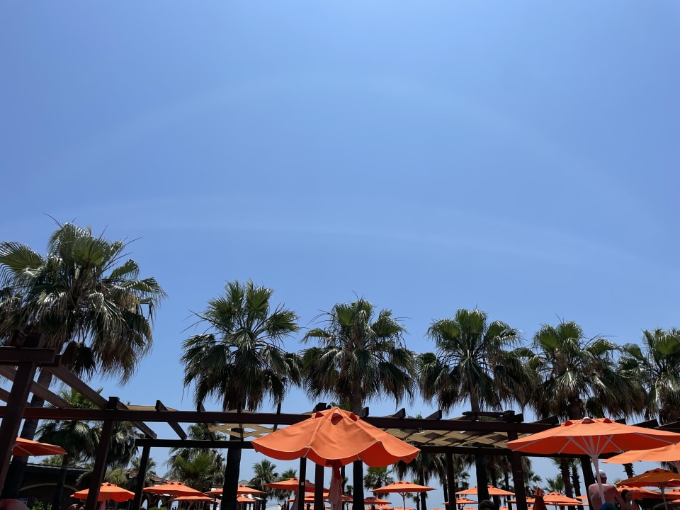 Gartenanlage Megasaray Club Belek