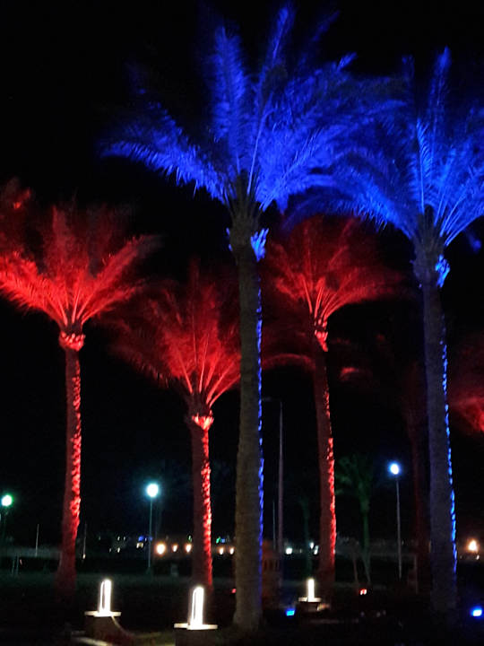 Farbige Palmen und Skulpturenschau Pickalbatros Alf Leila Wa Leila Resort - Neverland Hurghada