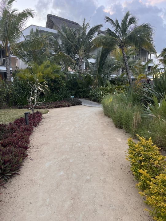 Gartenanlage Sunrise Attitude - Adults Only