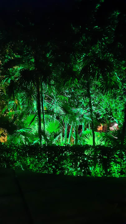 Gartenanlage Grand Sirenis Riviera Maya Resort & Spa