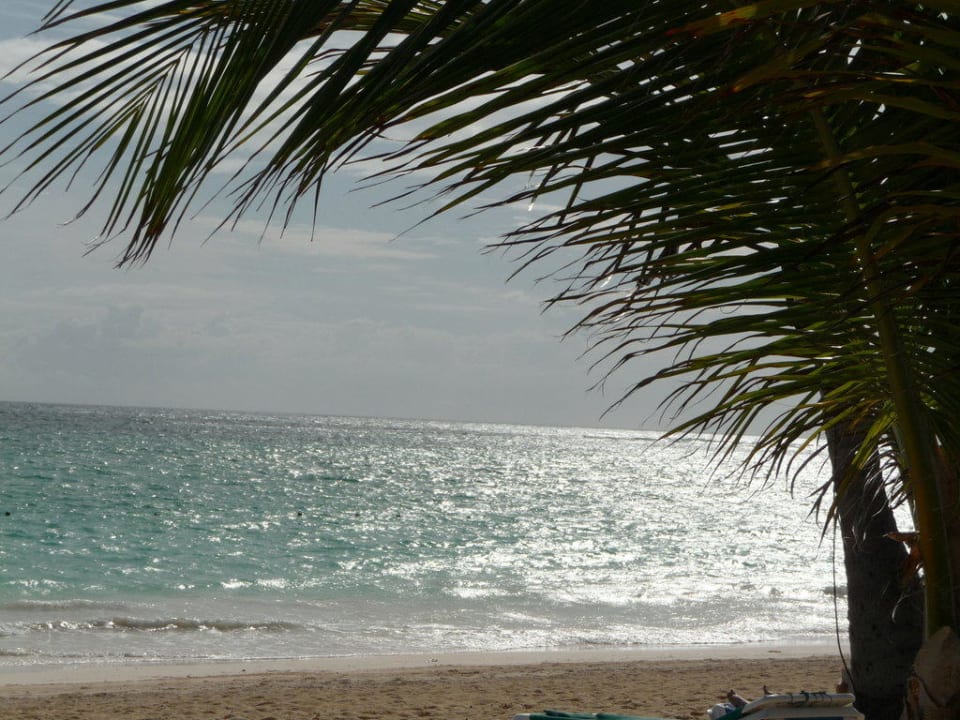 Morgens am Strand TRS Turquesa Hotel - Adults only