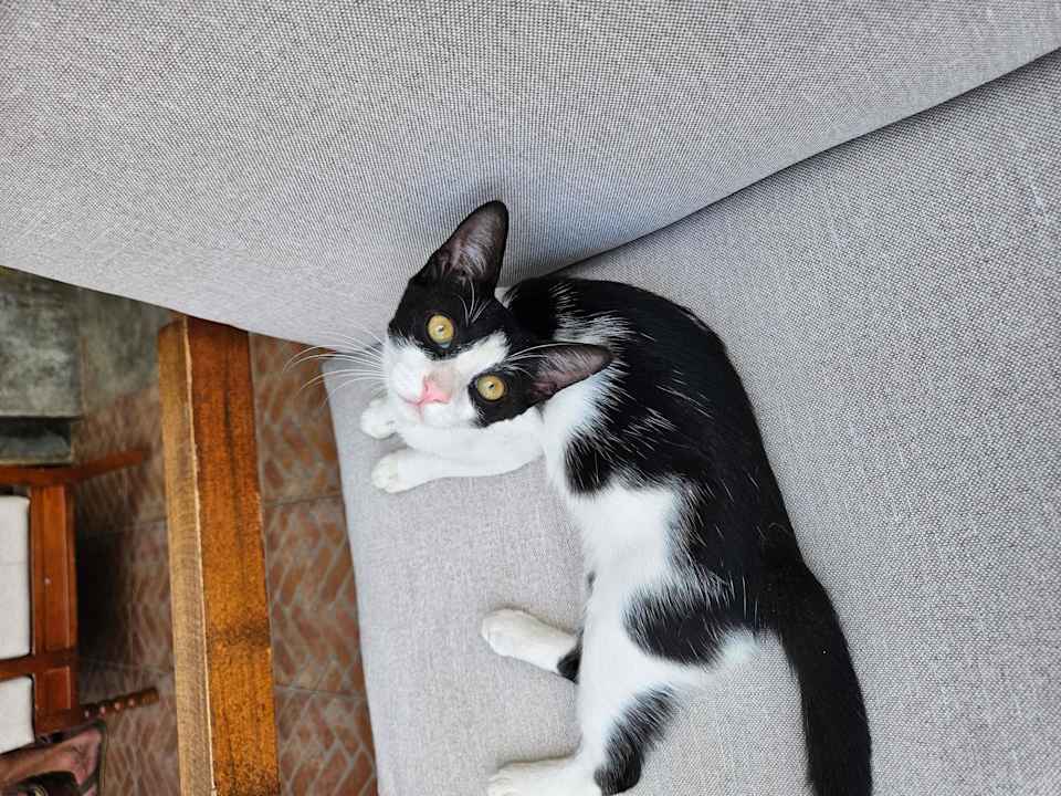 Zimmer Stella Beach Resort & Spa Makadi Bay