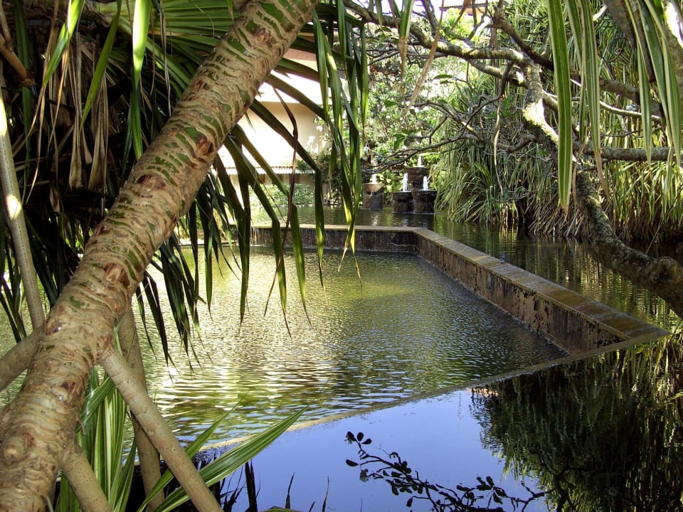 Gartenanlage Tangerine Beach Hotel