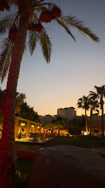 Gartenanlage Three Corners Sea Beach Resort