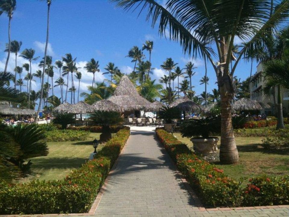 Weg zum Pool bzw. zur Poolbar TRS Turquesa Hotel - Adults only