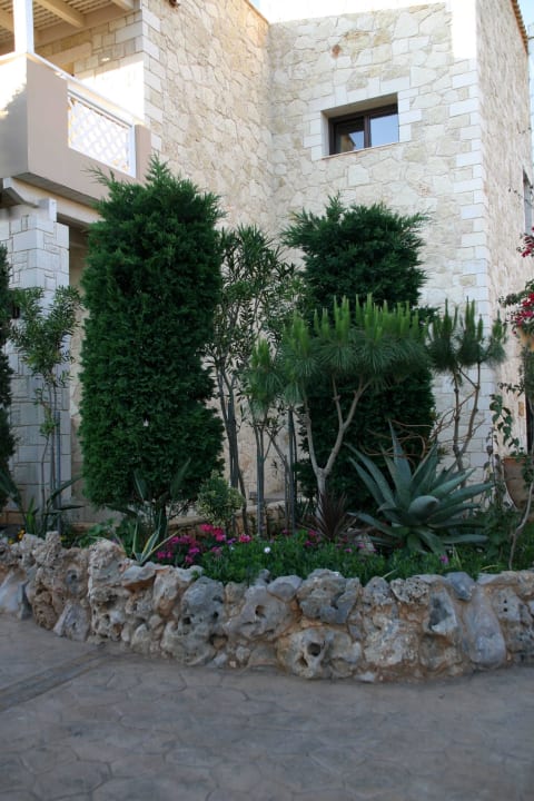 Gartenanlage Cactus Royal