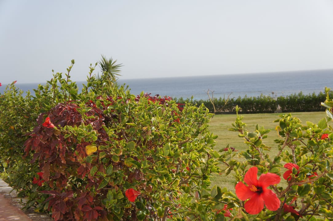 Hibiskusy Fantazia Resort Marsa Alam