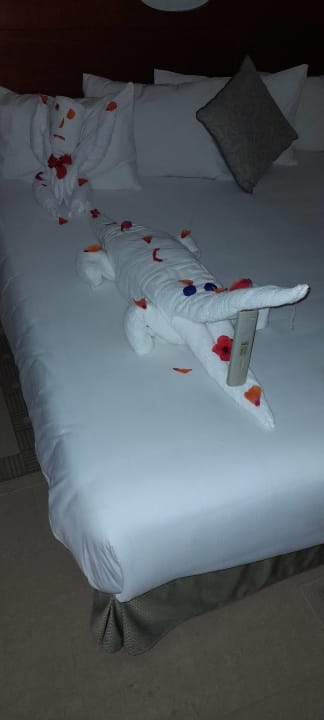 Zimmer Stella Garden Resort & Spa, Makadi Bay