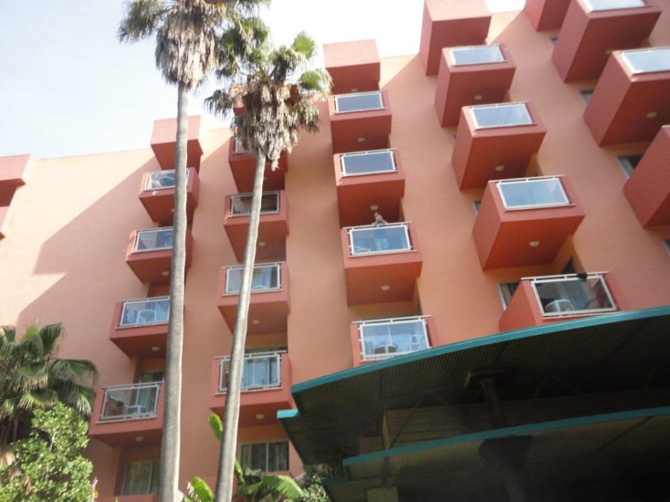 Wygląd zewnętrzny Globales Maioris