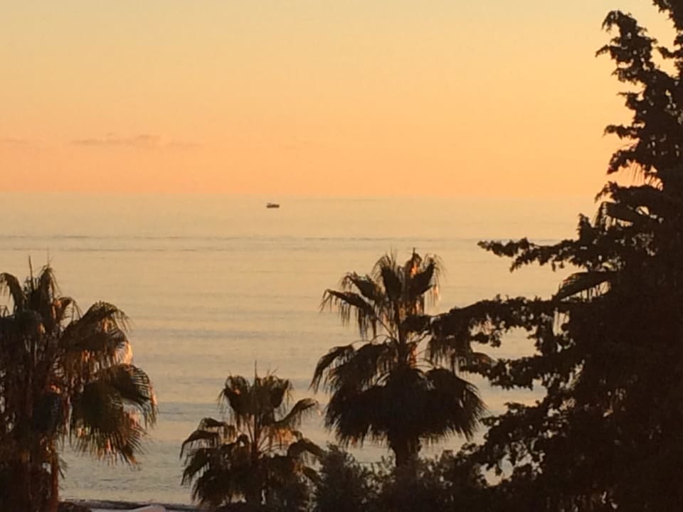 View Bar Sealife Buket Resort & Beach