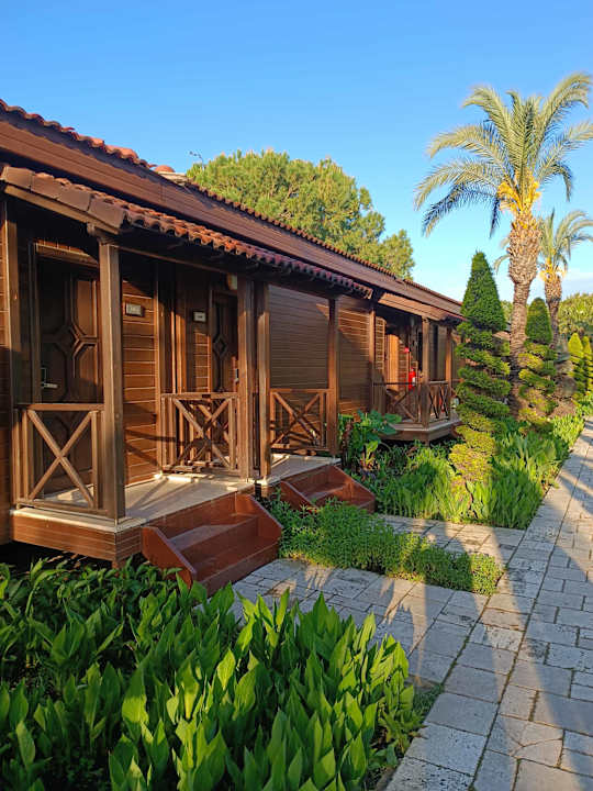 Zimmer Calimera Serra Palace