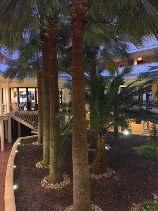 Gartenanlage allsun App.-Hotel Orient Beach