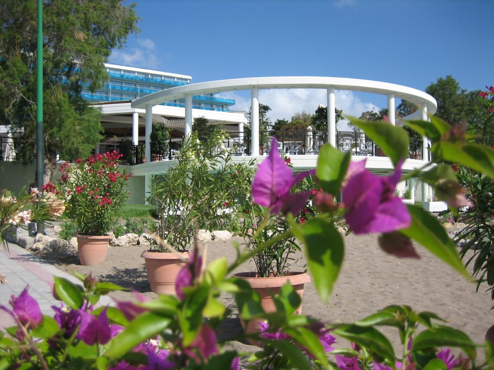 Poolbar Ansicht vom Meer Hotel Calypso Beach