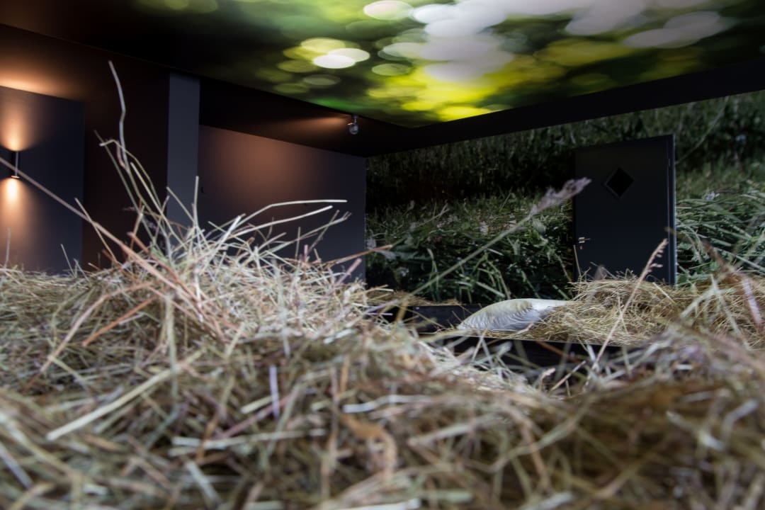 Sport & Freizeit Haubers Naturresort