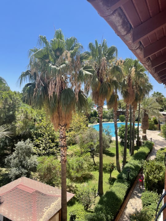 Ausblick Club Turtas Beach Hotel