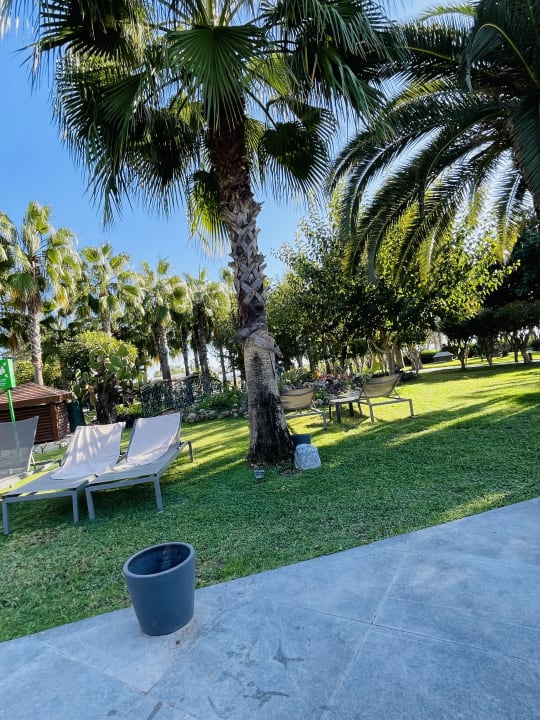 Gartenanlage Hotel Miramare Beach